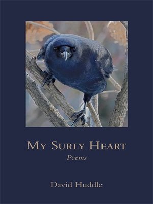 cover image of My Surly Heart